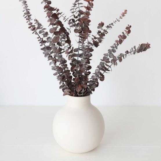 Brown Eucalyptus Dried Flower Stems (Set of 5)
