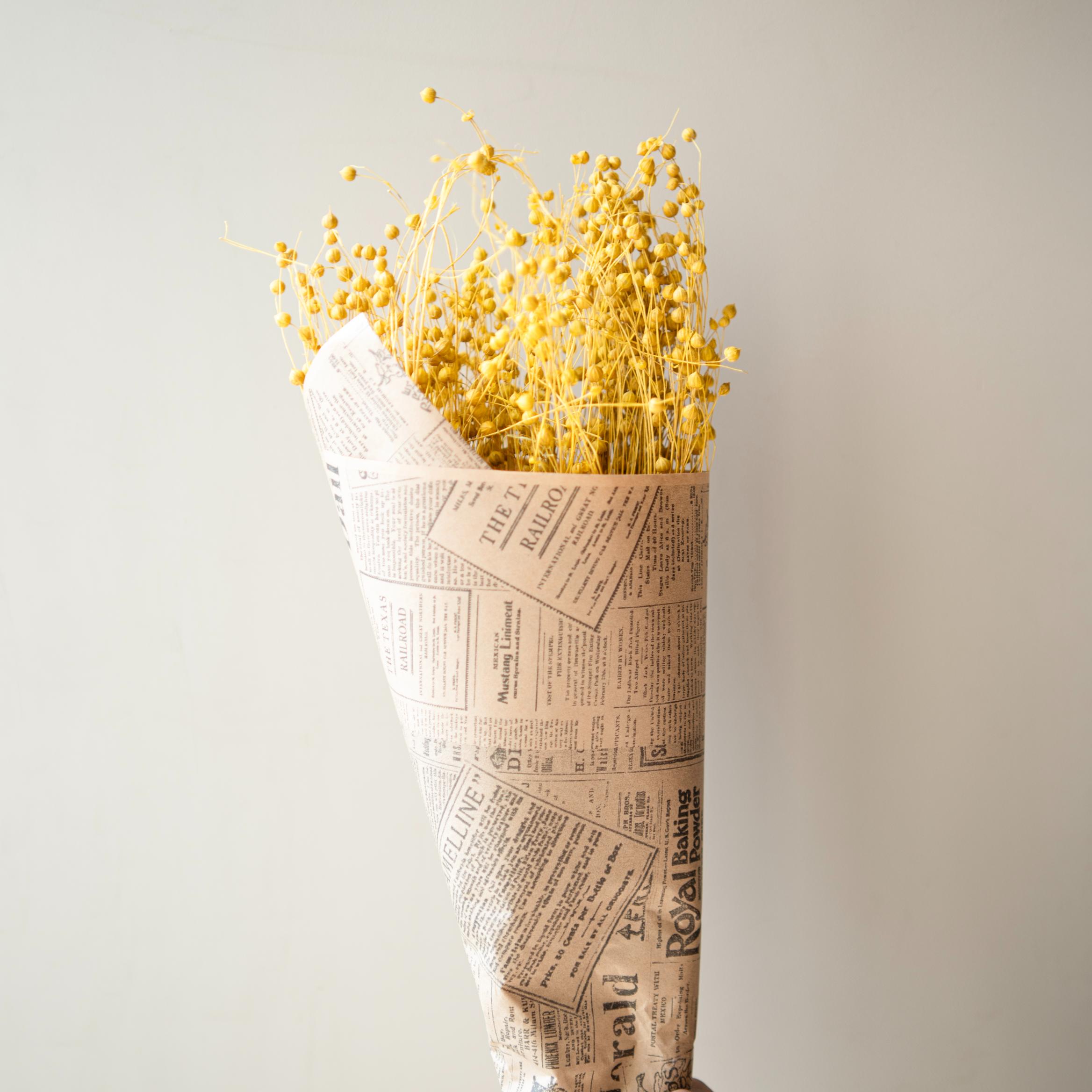 Yellow flax dried flower