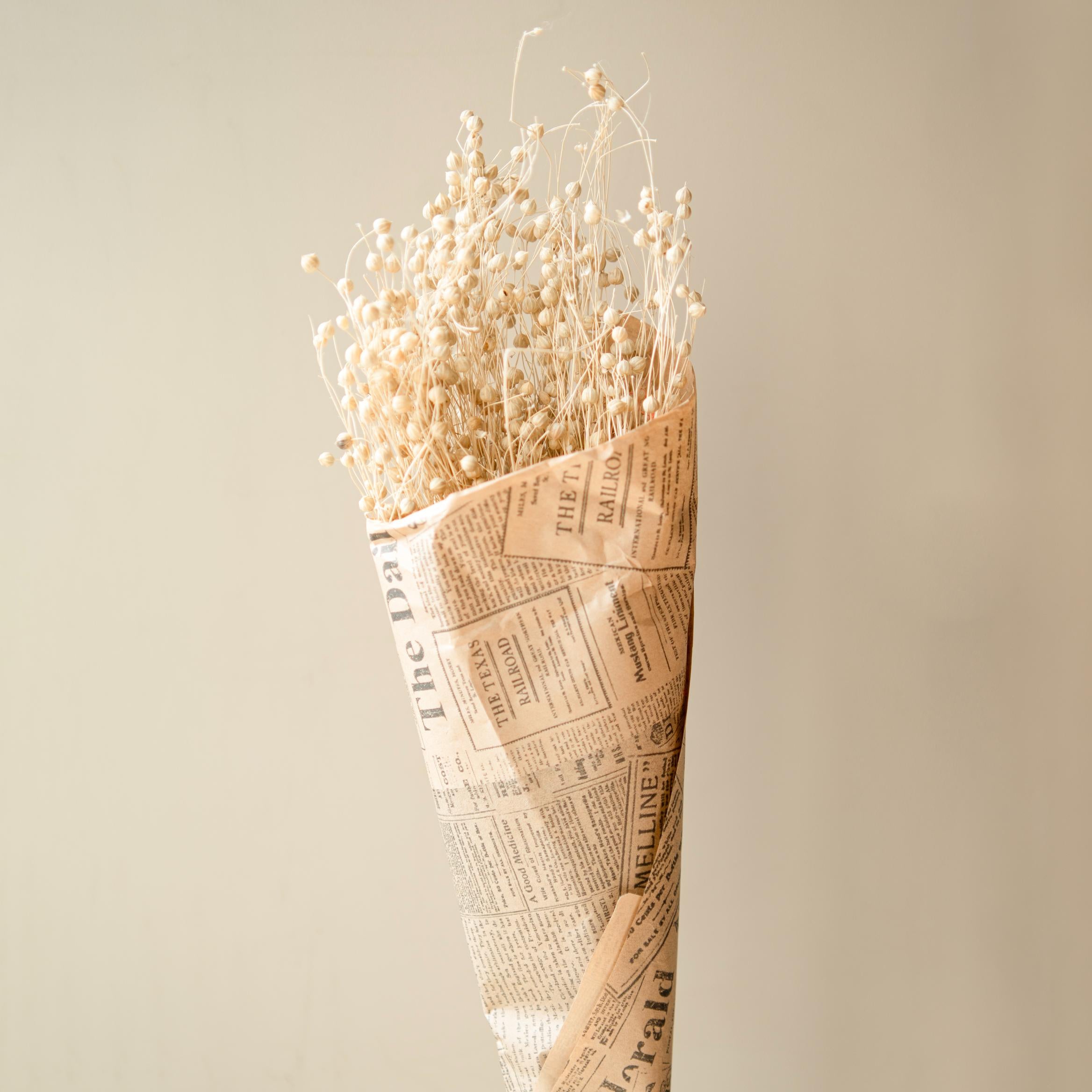 White flax dried flower