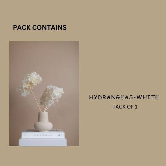Hydrangeas _White - https://artecasa.in/
