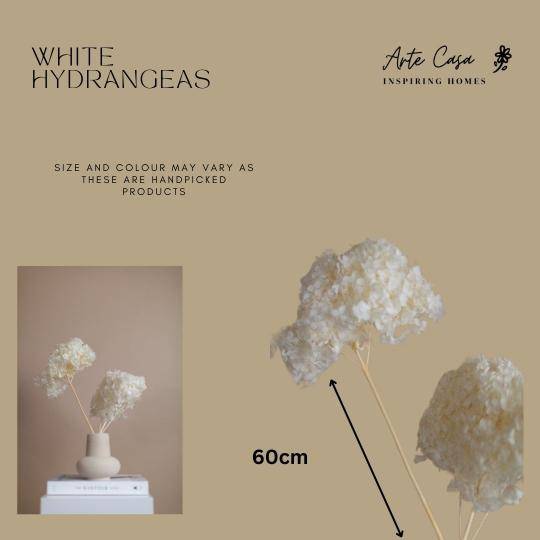 Hydrangeas _White - https://artecasa.in/
