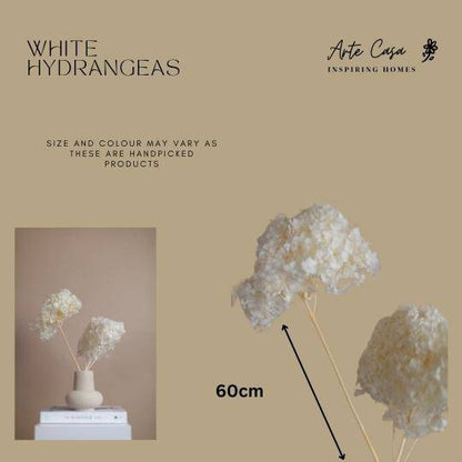 Hydrangeas _White - https://artecasa.in/