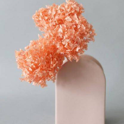 Hydrangeas _Peach - https://artecasa.in/