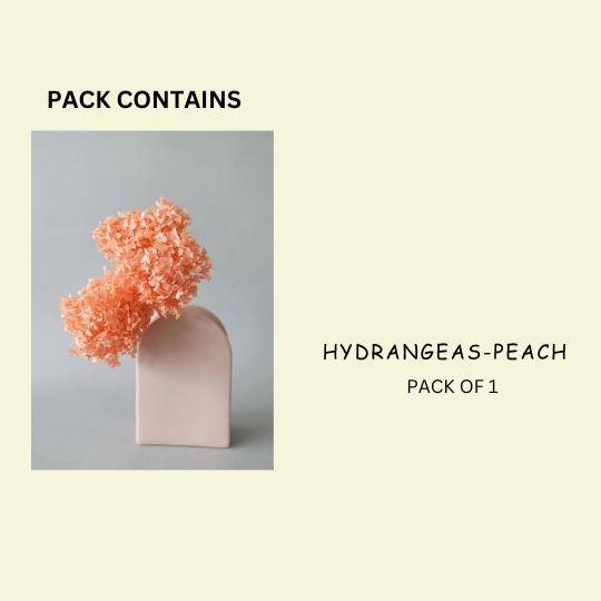 Hydrangeas _Peach - https://artecasa.in/