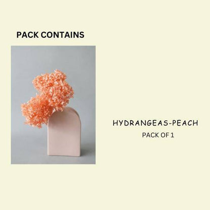 Hydrangeas _Peach - https://artecasa.in/