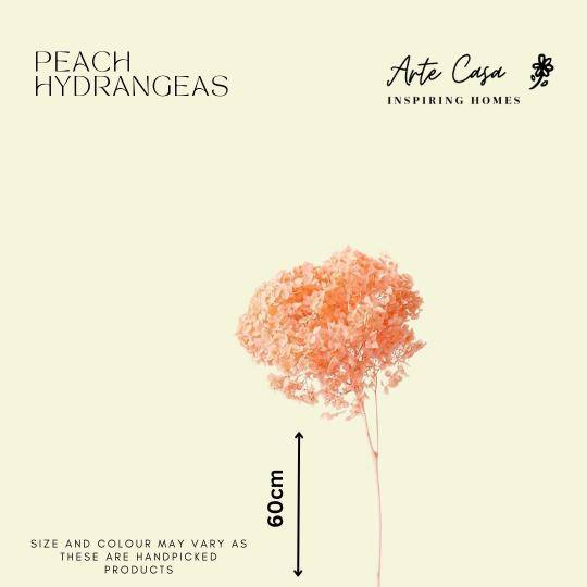 Hydrangeas _Peach - https://artecasa.in/