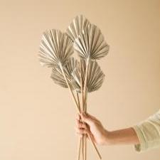 Round shape palm leaves