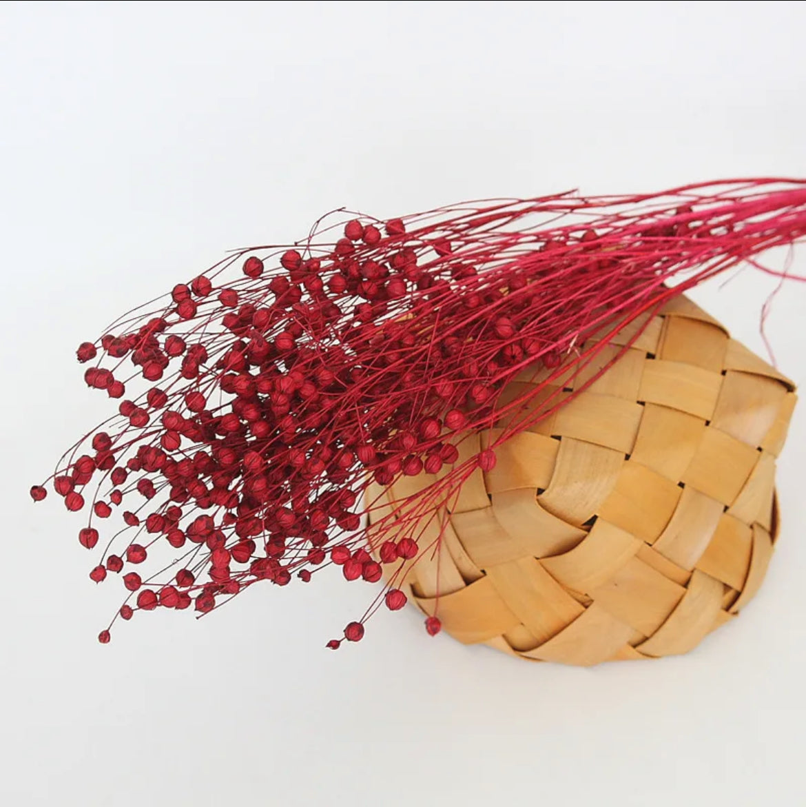 Red flax dried flower