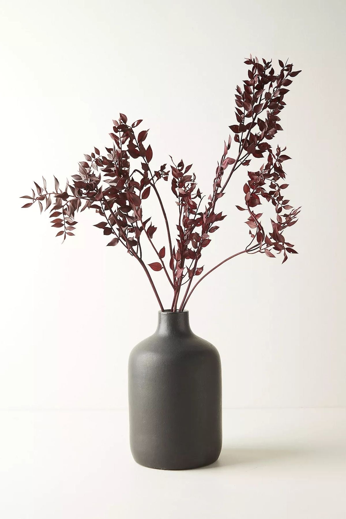 Ruscus Brown Dried Flower Bunch – Natural Décor - https://artecasa.in/
