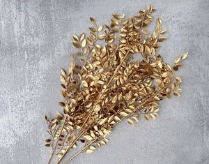 Ruscus-Golden