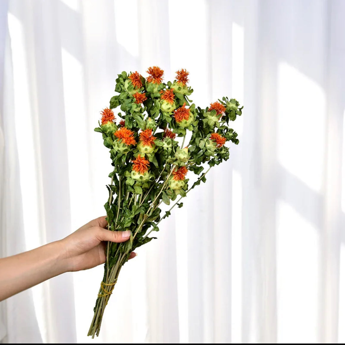 Dried safflower