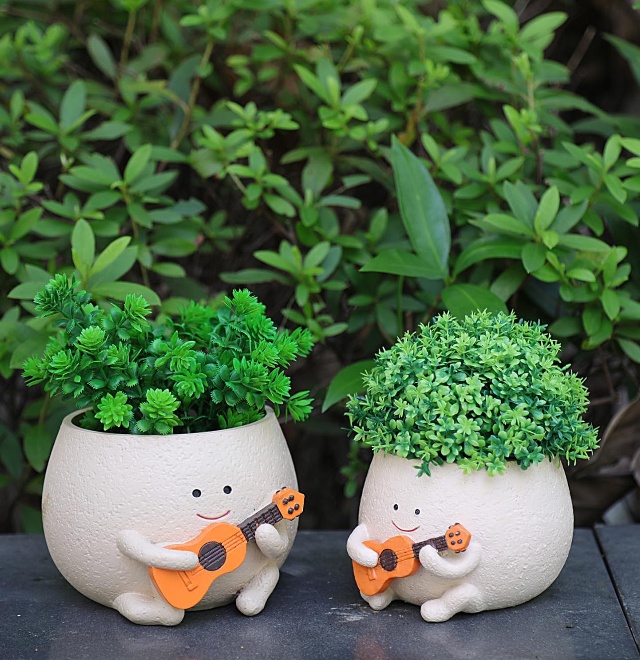 The Jazzy Planter