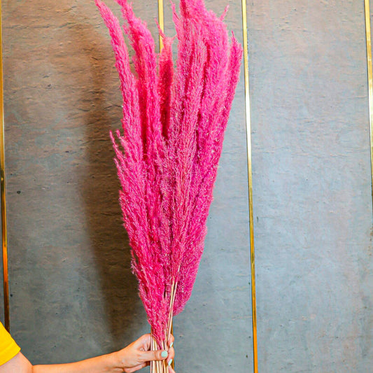 Pampas Pink -XL-set of 10 stems (Copy) - https://artecasa.in/