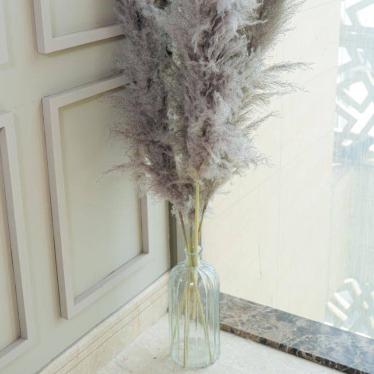 Imported charcoal Pampas-XL -set of 5 stems - https://artecasa.in/