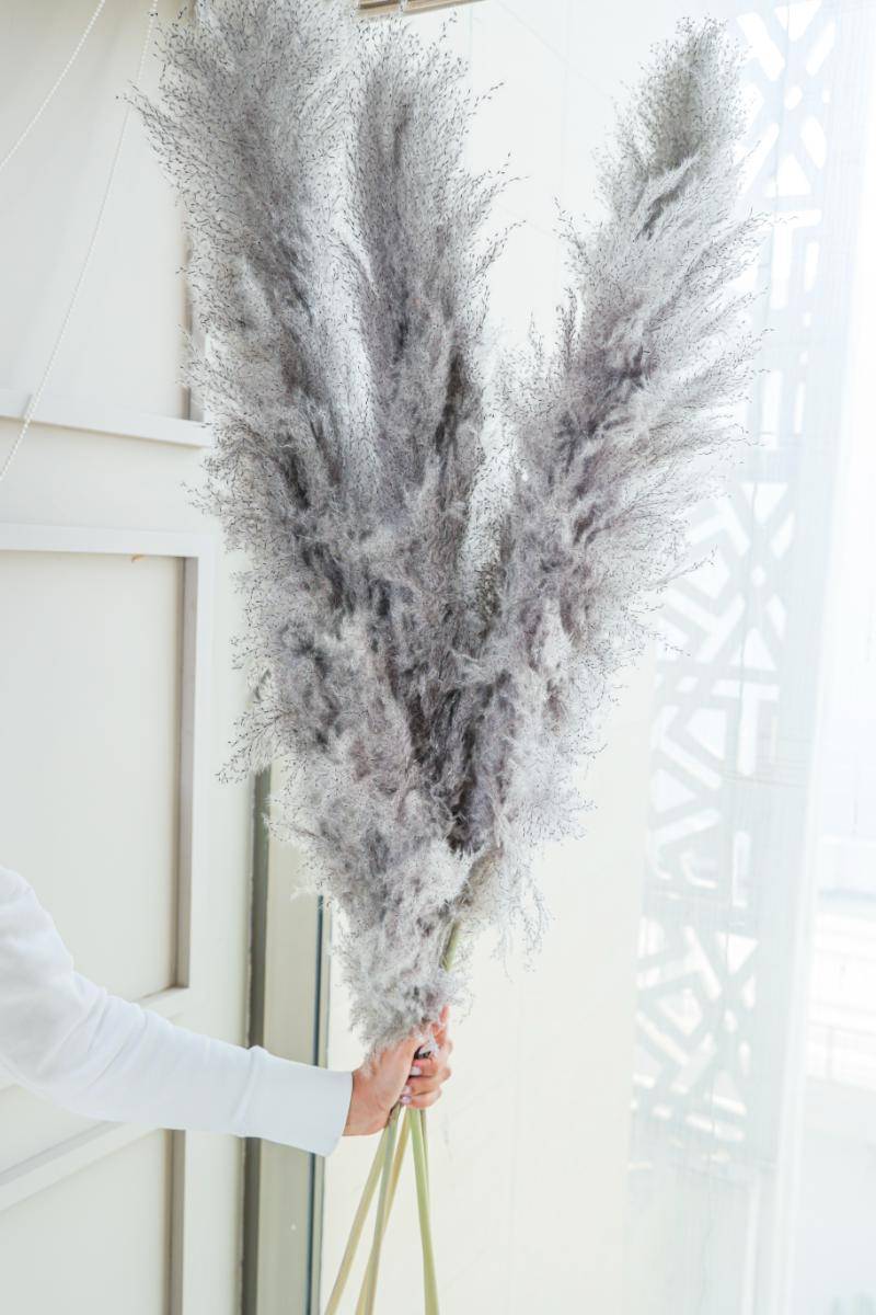 Imported charcoal Pampas-XL -set of 5 stems - https://artecasa.in/