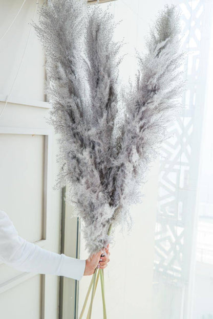 Imported charcoal Pampas-XL -set of 5 stems - https://artecasa.in/