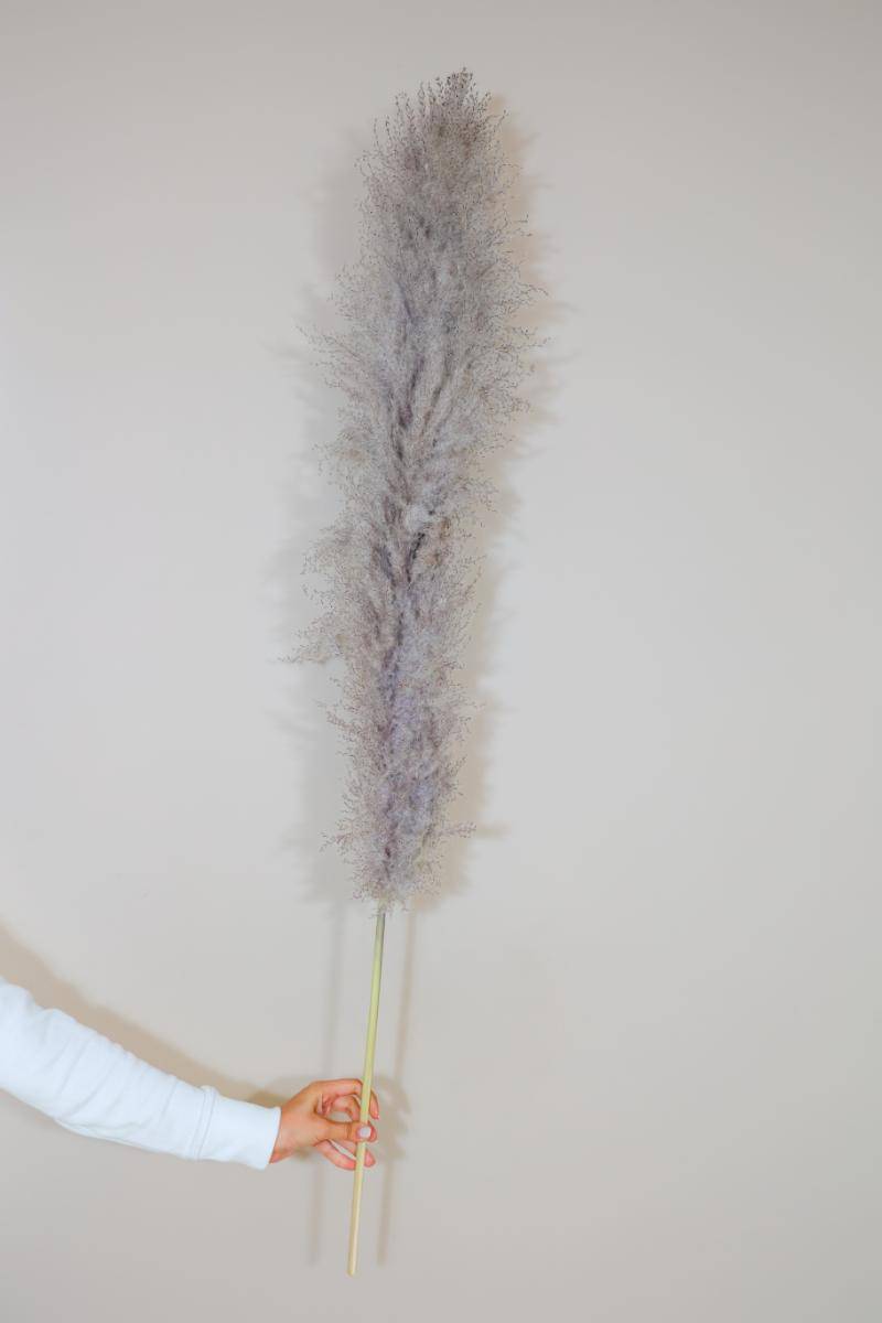 Imported charcoal Pampas-XL -set of 5 stems - https://artecasa.in/