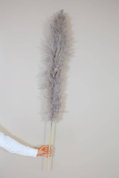 Imported charcoal Pampas-XL -set of 5 stems - https://artecasa.in/