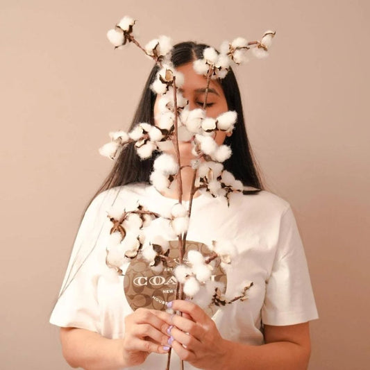 Natural Dried Cotton Stems – Set of 5 | 40 cm - https://artecasa.in/
