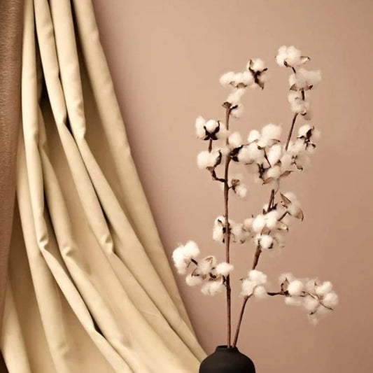 Natural Dried Cotton Stems – Set of 5 | 40 cm - https://artecasa.in/