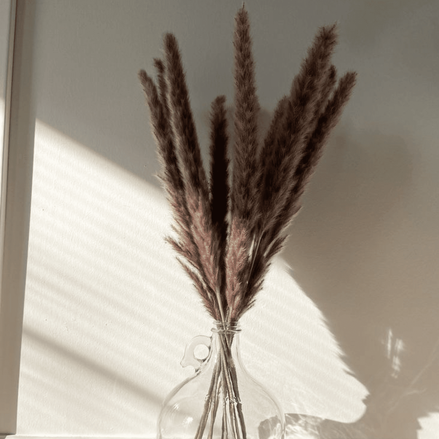 Mini brown pampas-set of 10 sticks - https://artecasa.in/