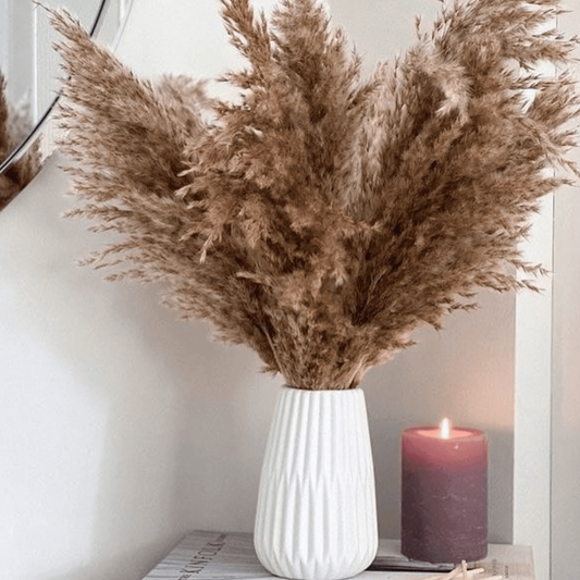 Pampas brown-XL-set of 10 stems - https://artecasa.in/