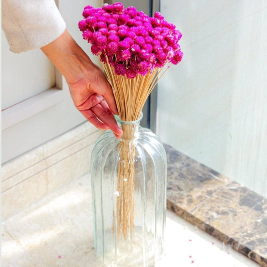 Gomphera with Crystal Glass vase - https://artecasa.in/