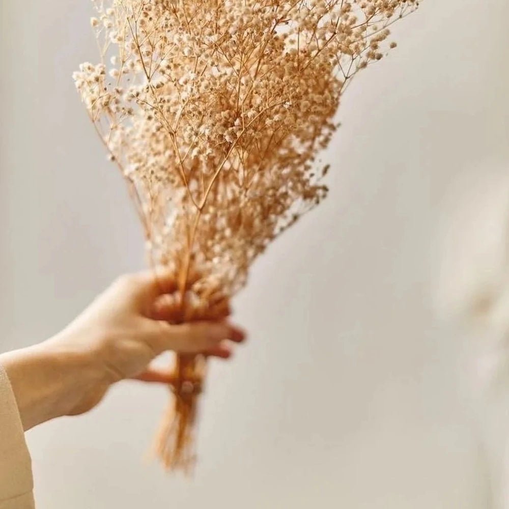 Baby breaths - White - https://artecasa.in/