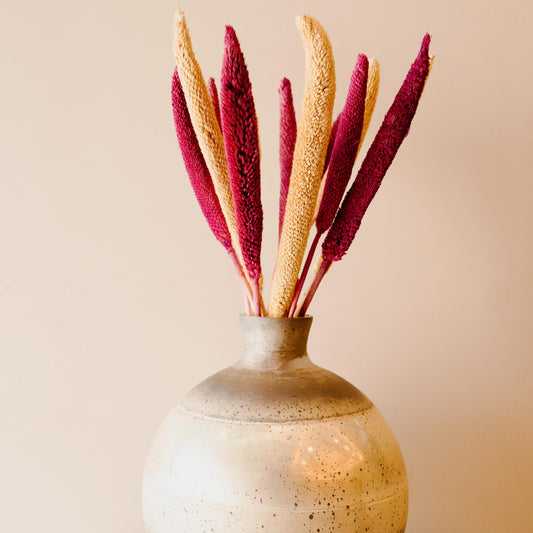 Bazra Mini Dual Shade Dried Sticks Yellow Pink Vase Decor
