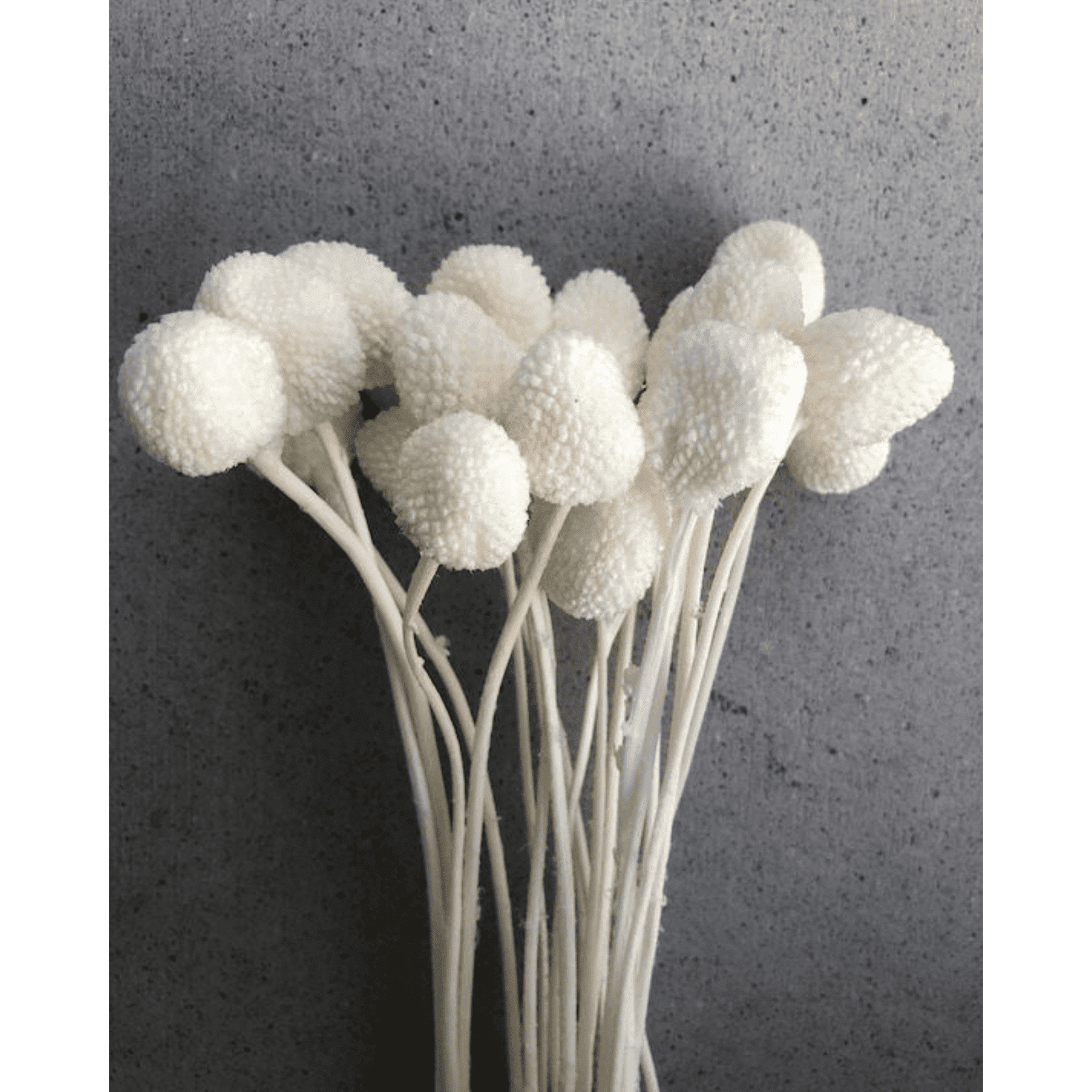 Billy ball-set of 10 - https://artecasa.in/