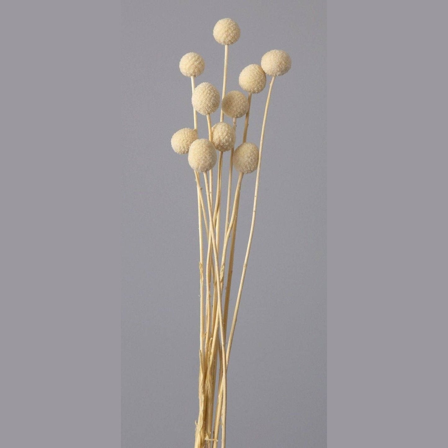 Billy ball-set of 10 - https://artecasa.in/