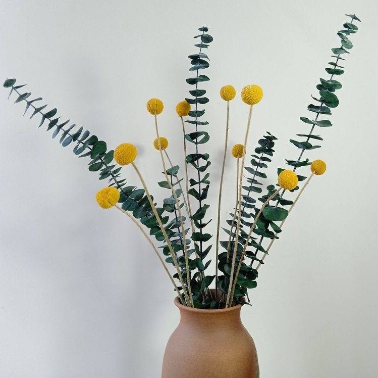 Billy Eucalyptus bunch - https://artecasa.in/