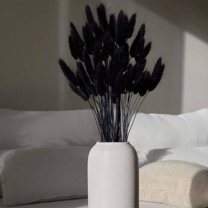 Black Bunny Tails Dried Flowers for Vase | Natural Lagurus Decor image 3
