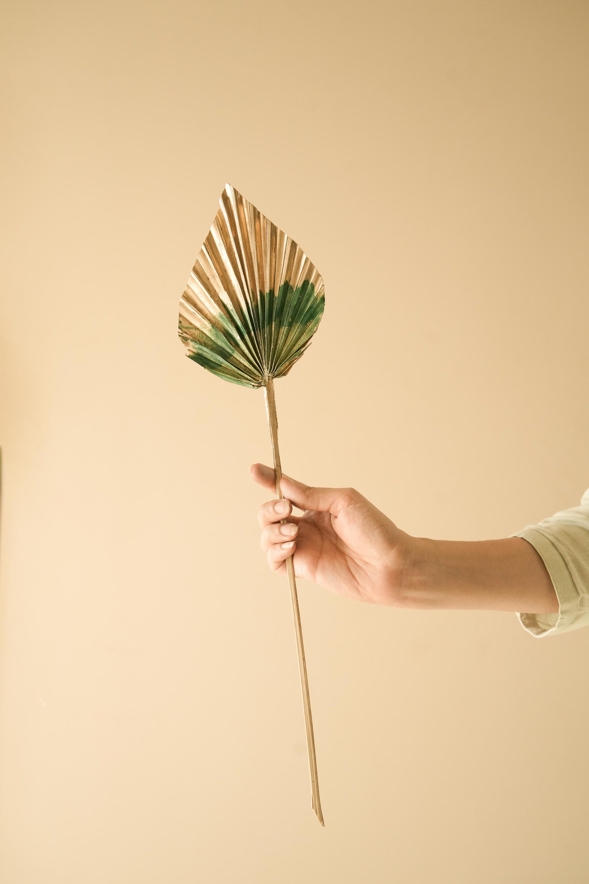 Boho style golden green dual tone palm leaves used as rustic decorative elements in modern interior space