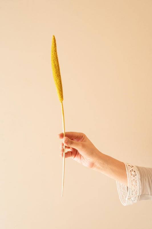 Bright yellow dried bazar sticks used as rustic boho decorative stems for modern interior styling