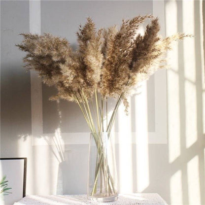 Large Brown Pampas arrangement for boho vase decor and modern home interiors.