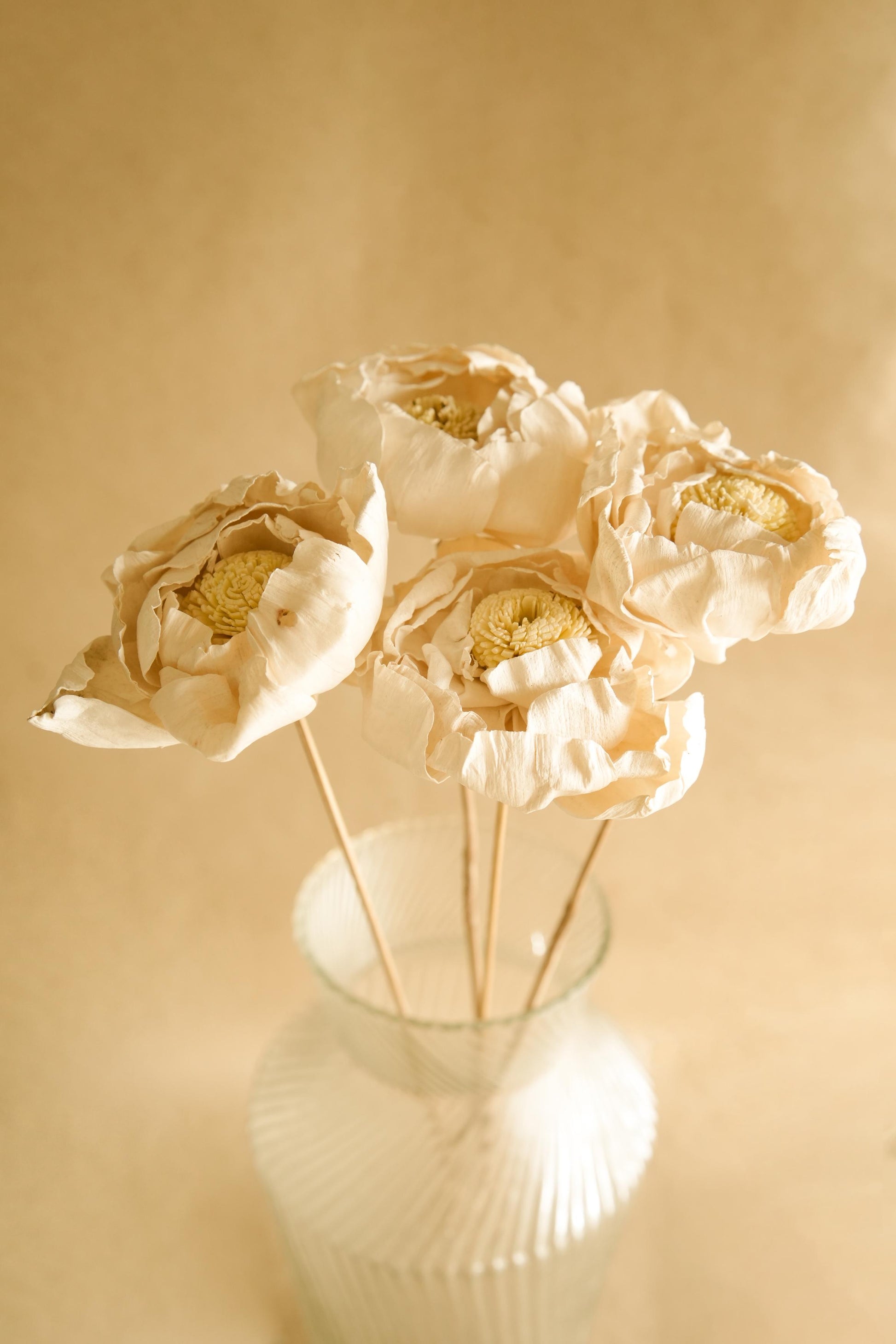 Cabbage Flower dried stems image 2