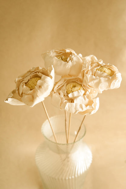 Close-up of Natural Cabbage Flower Dried Stems