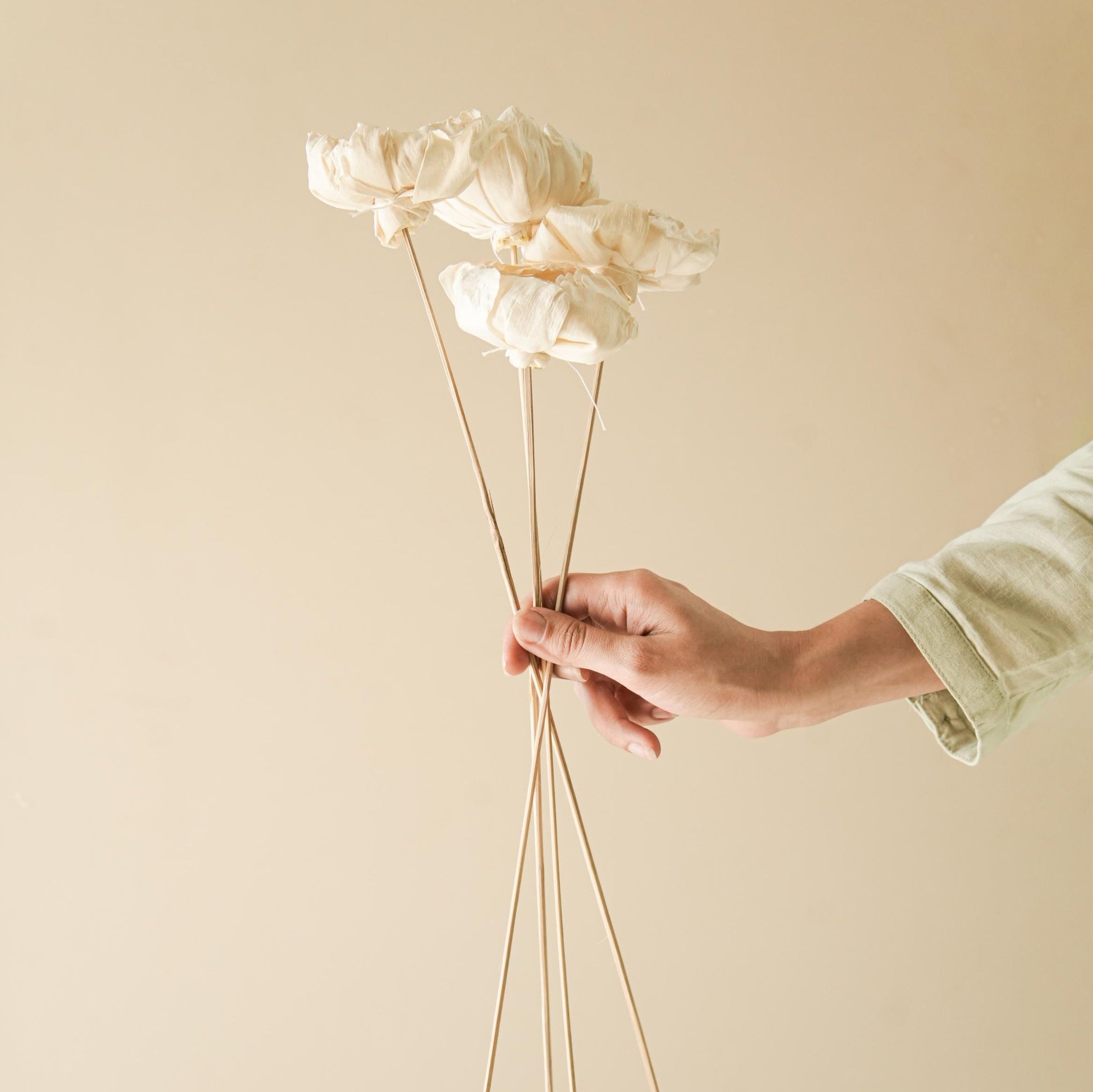 Cabbage Flower dried stems image 1