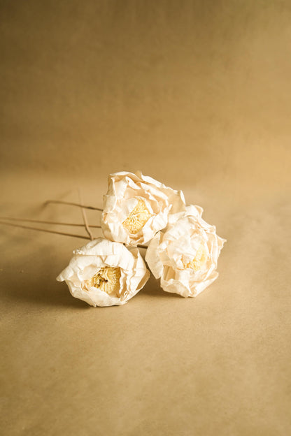 Cabbage Flower Natural Dried Floral Decor for Home Styling