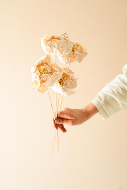 Cabbage Flower Dried Stems Arrangement in Decorative Vase