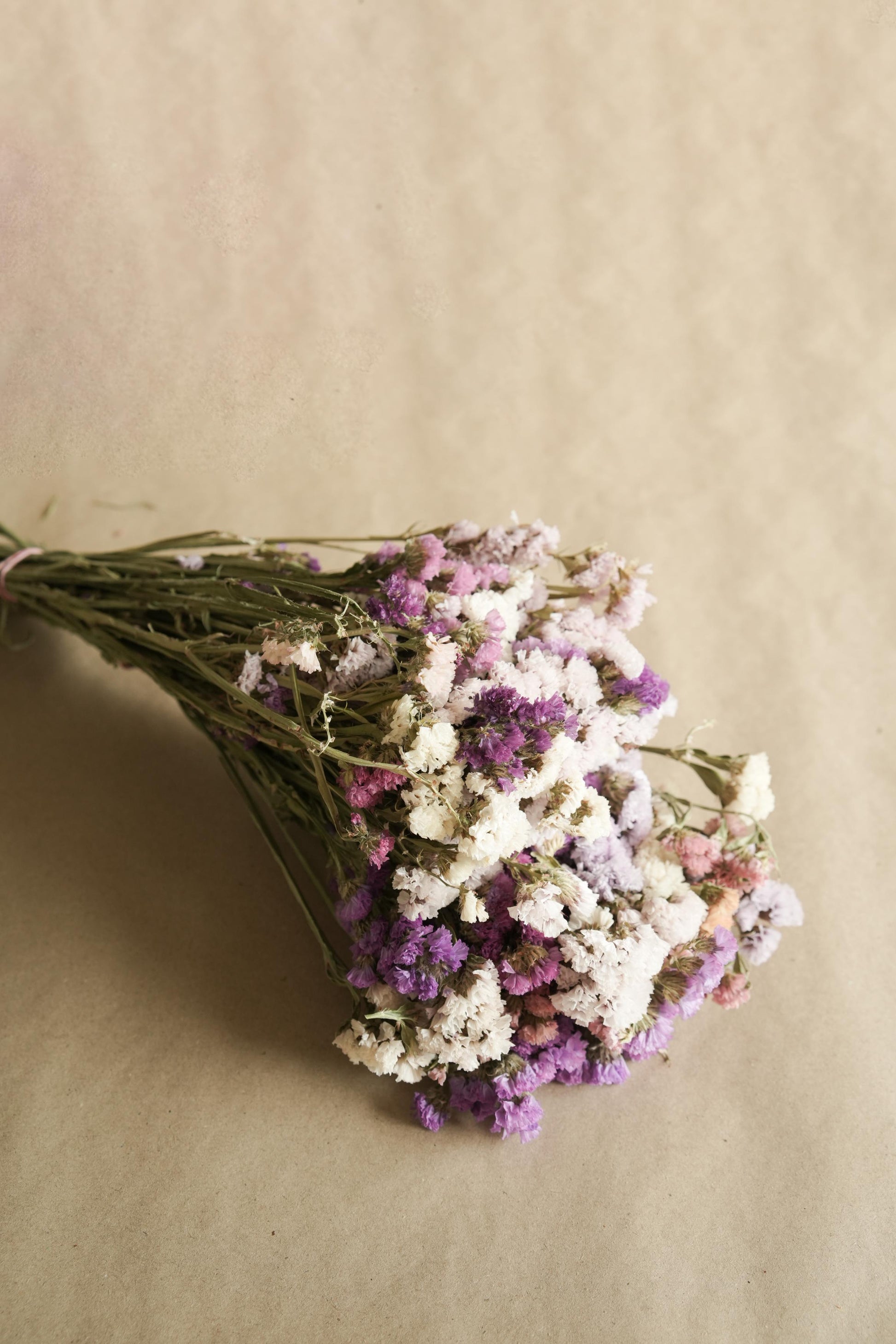 Close up of colourful Statice dried flowers for bouquet and floral arrangements