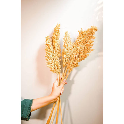 Corn Stick Dried Flower Bunch in Decorative Vase