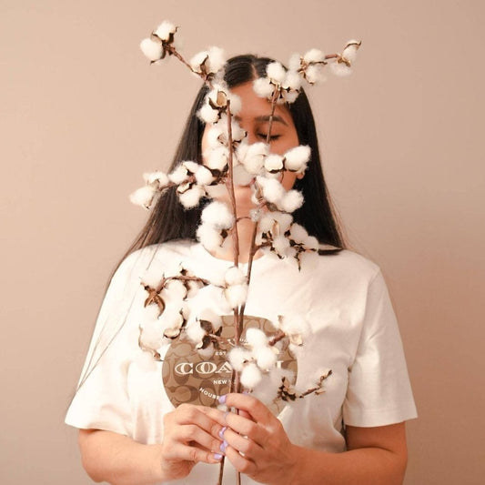 Cotton bloom stems - https://artecasa.in/