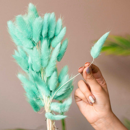 Dark Mint Green Bunny tails-set of 50 stems - https://artecasa.in/