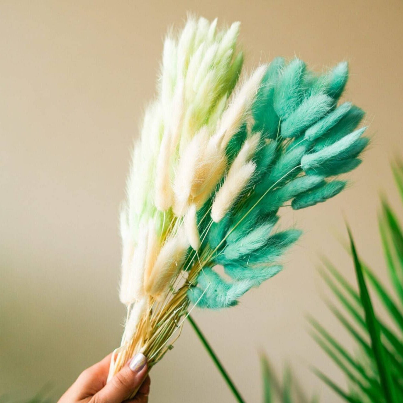 Dark Mint Green Bunny tails-set of 50 stems - https://artecasa.in/