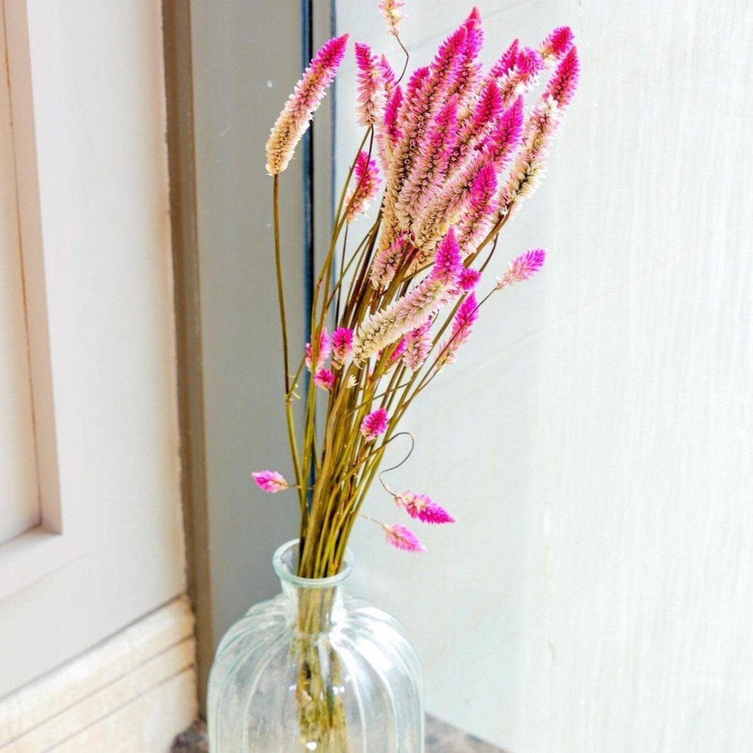 flamingo dried flower set of 25