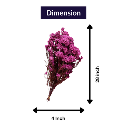 pink dried rice flower arrangement for home decor by artecasa