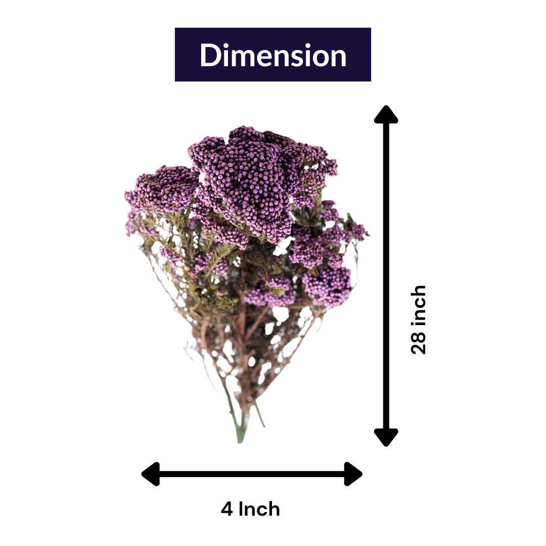 Purple Dried Rice Flower – Natural Forever Floral Décor | ArteCasa
