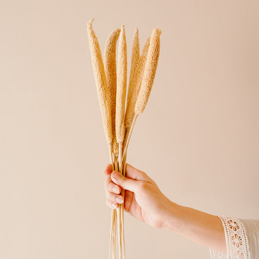 Natural dried bazar sticks arranged in a vase for rustic, minimal and boho style home decor by ArteCasa